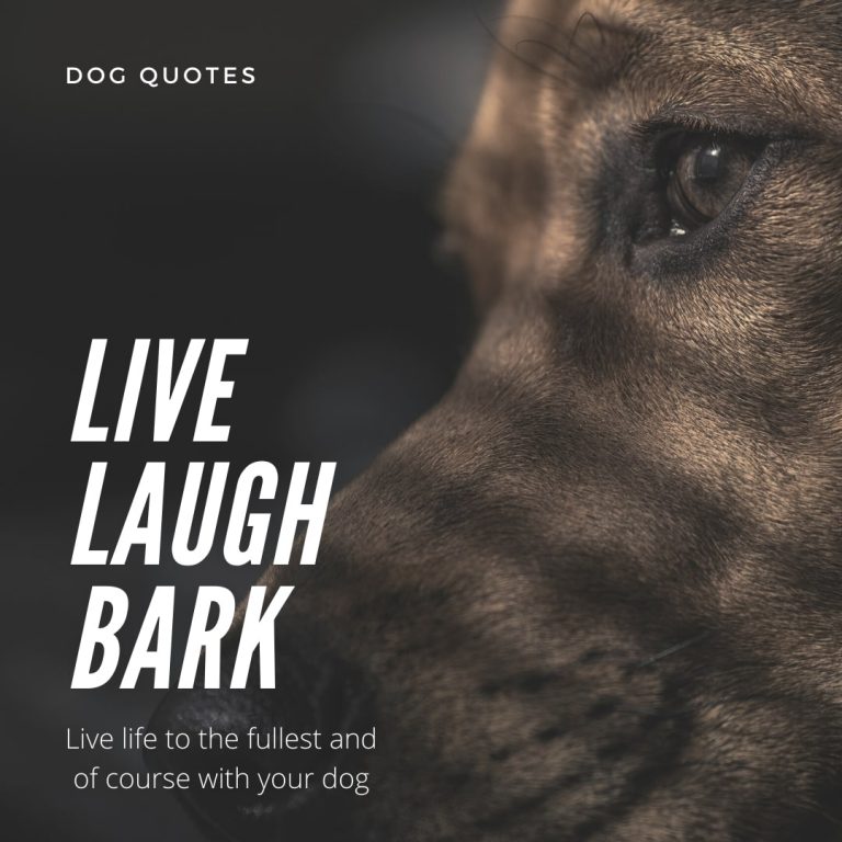 Chuckle Dog Quote