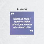 Comfort Dog Quote