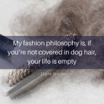 Fancy Dog Quote
