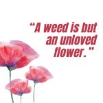 Flower Quote