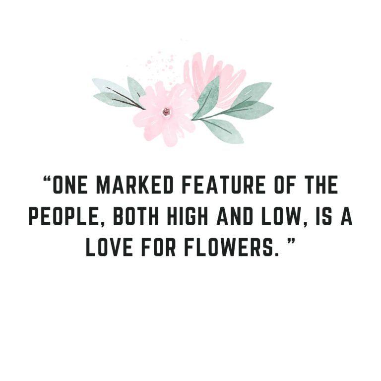 Flower lover Quote