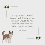 Greater Dog Quote