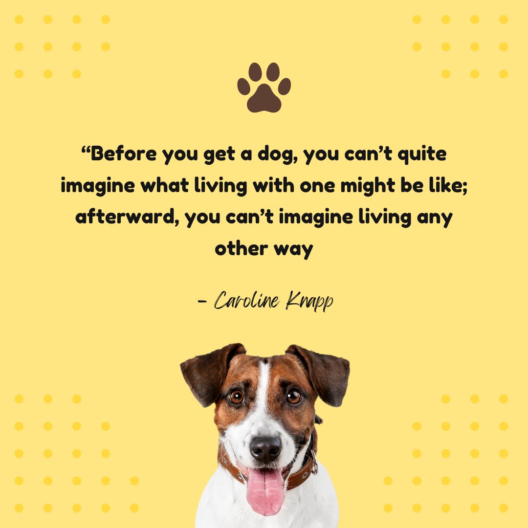 Happy Dog Quote