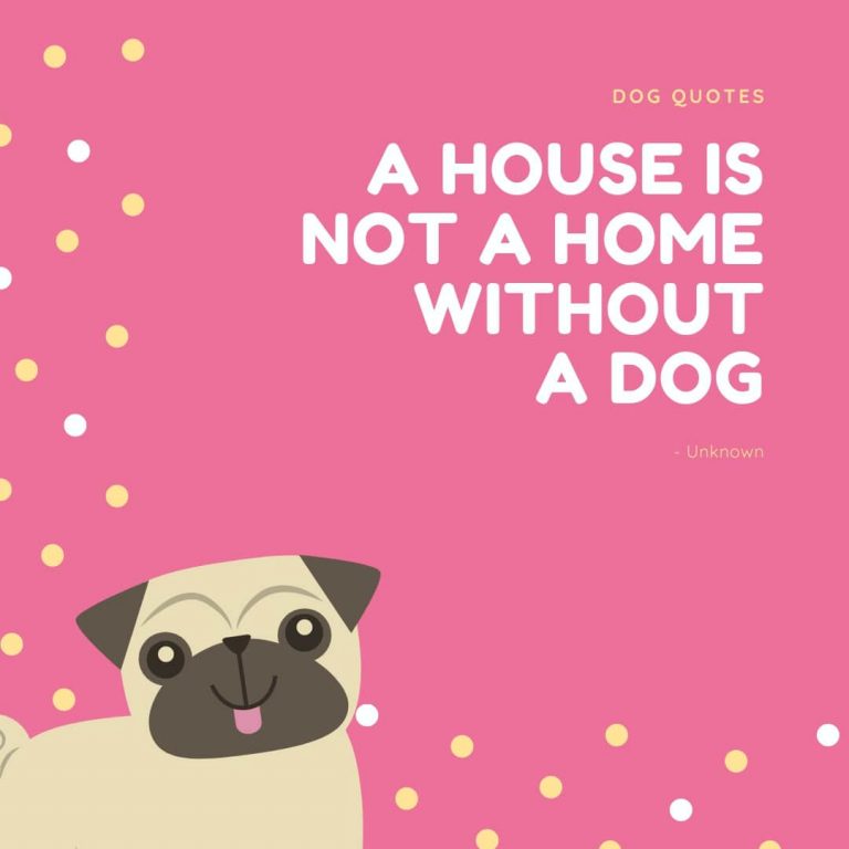 Home Dog Quote