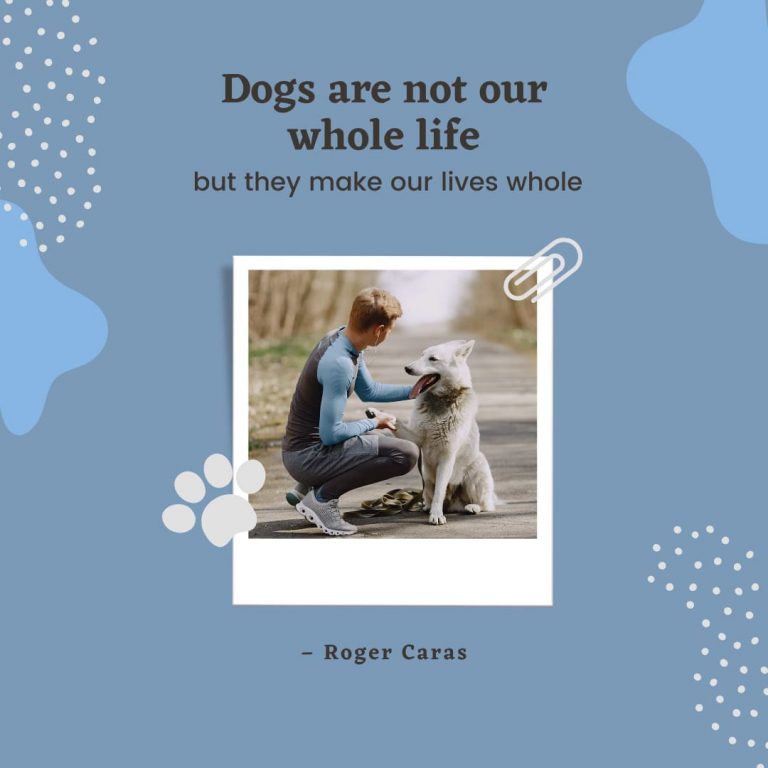 Inner Life Dog Quote