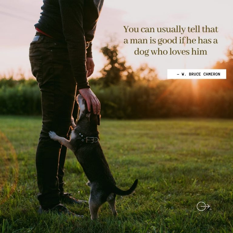 Kindness Dog Quote