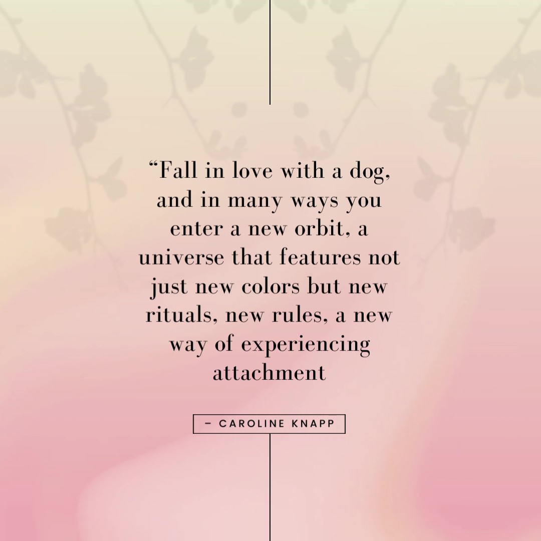 Love Dog Quote