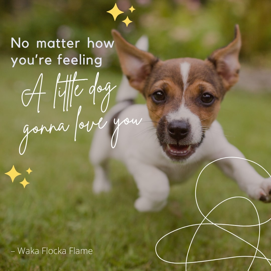 Loving Puppy Dog Quote