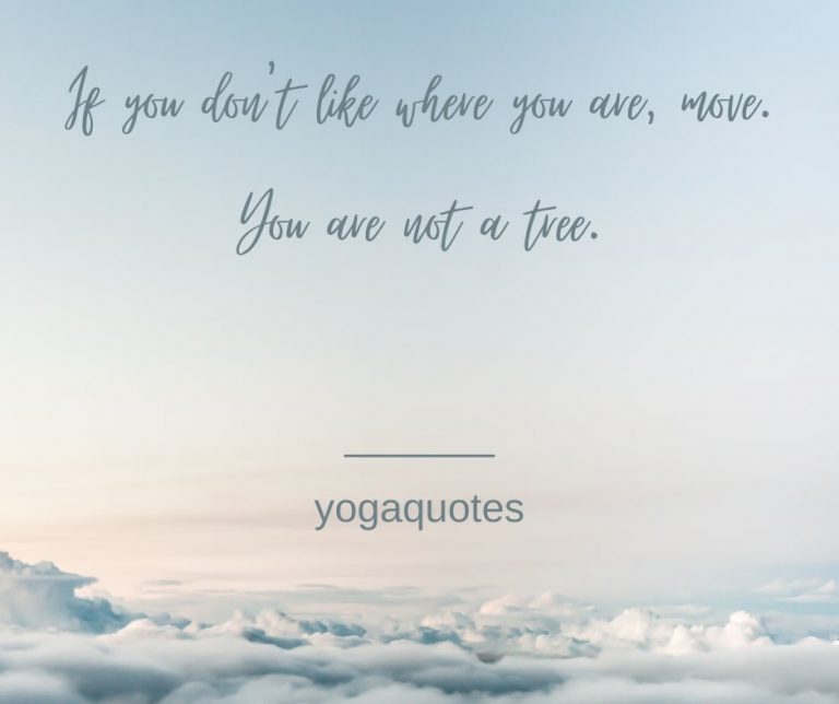 Movement Yoga Quote