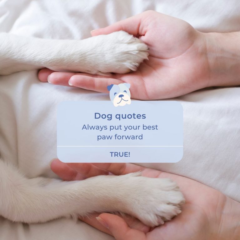 Paw Dog Quote