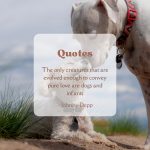 Pure Soul Dog Quote