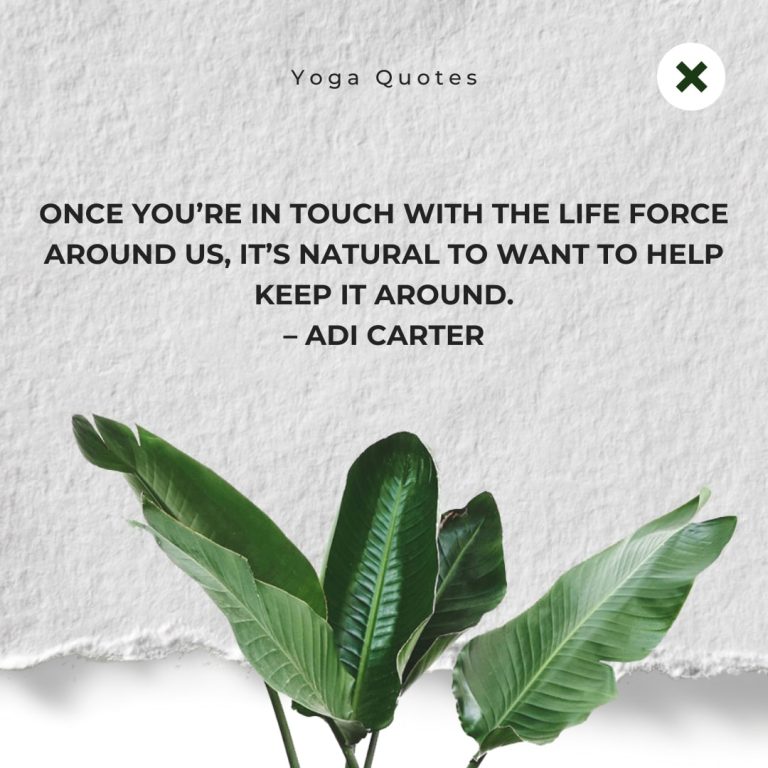 Relax Free Yoga Quote