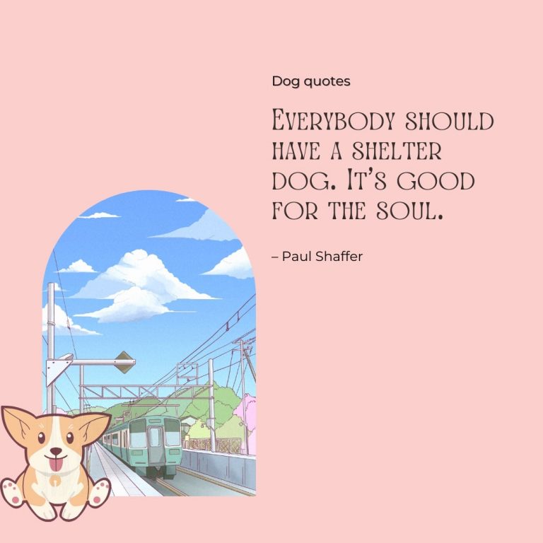 Shield Dog Quote