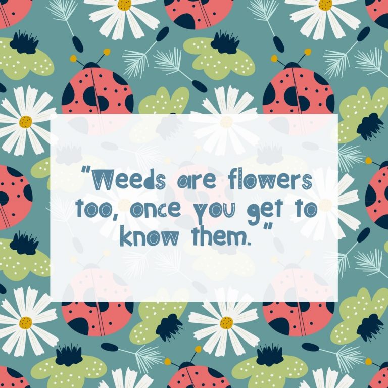 Weeds Quote