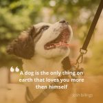 Inspirational Dog Quote